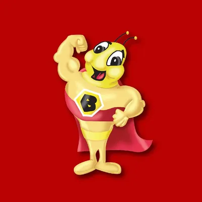 bdrysemi.com's icon