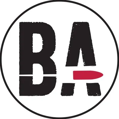 bearingarms.com's icon