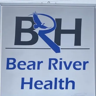 bearriverhealth.com's icon