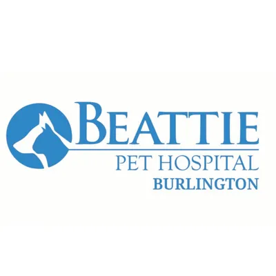 beattiepethospitalburlington.com's icon