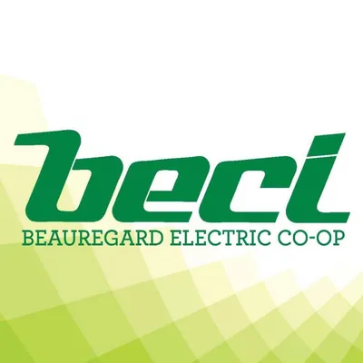 beci.org's icon