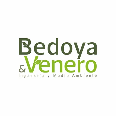 bedoyayvenero.com's icon