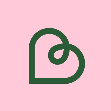 bedrock.nl's icon