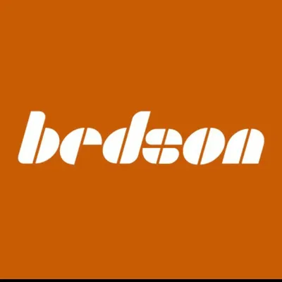 bedson.com's icon