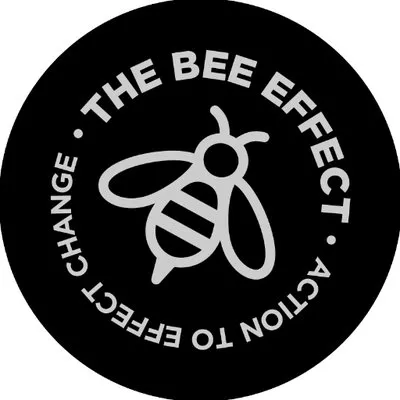 bee-effect.co.za's icon