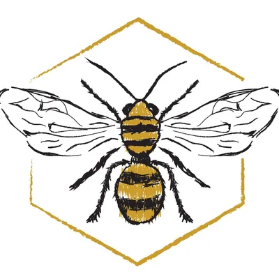 beeaugustine.com's icon