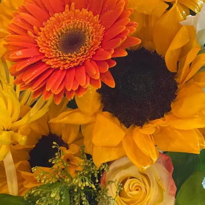 beeleeblooms.com's icon