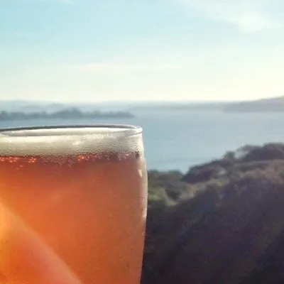 beerjerk.co.nz's icon