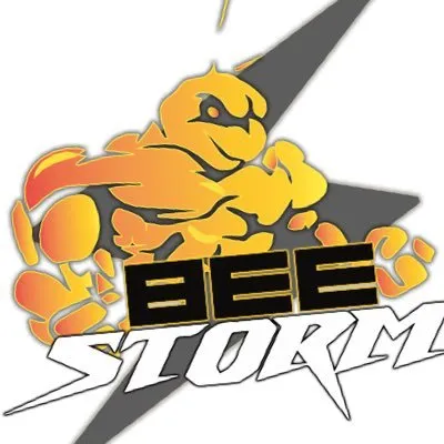 beestorm.com.my's icon