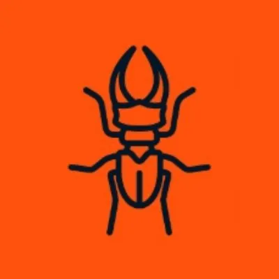 beetleconsultants.com's icon