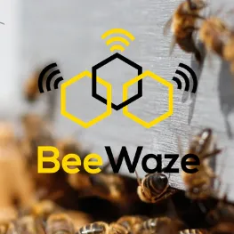 beewaze.com's icon