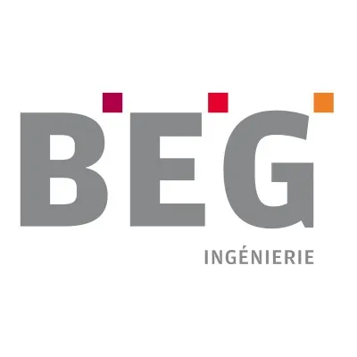 beg-ing.com's icon