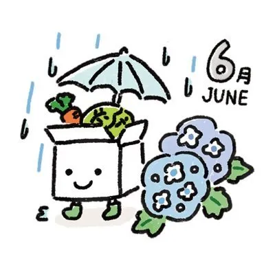 bejibeji.com's icon
