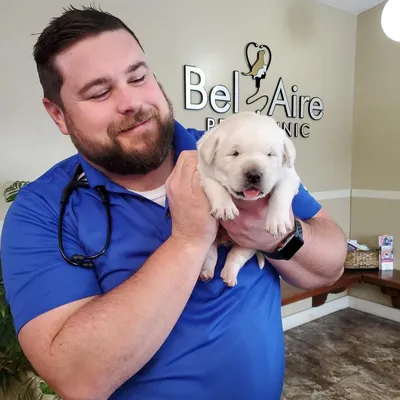 belairepetclinic.com's icon