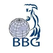 belgianbluegroup.com's icon