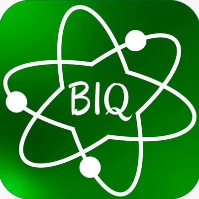 beliquimica.com.pe's icon