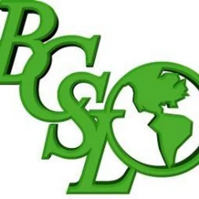 belizecommunication.com's icon