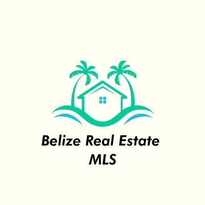 belizerealestatemls.com's icon