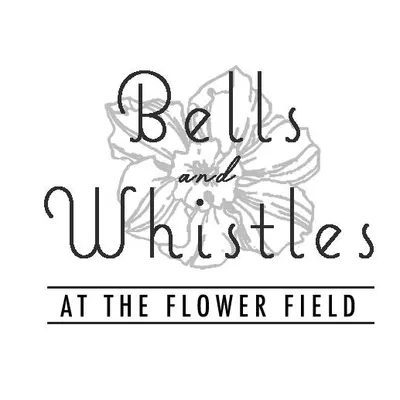 bellsandwhistlesobx.com's icon