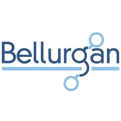 bellurgan.com's icon