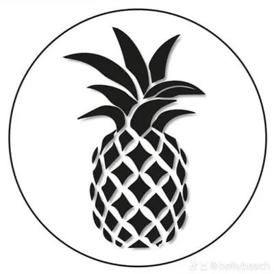 bellybeach.cl's icon