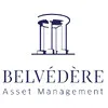 belvedere-am.com's icon