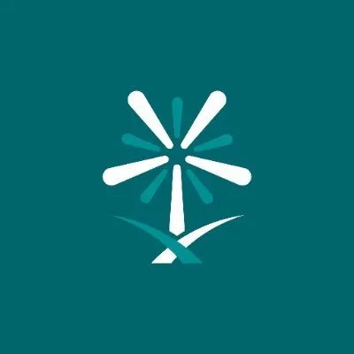 bena2.com's icon