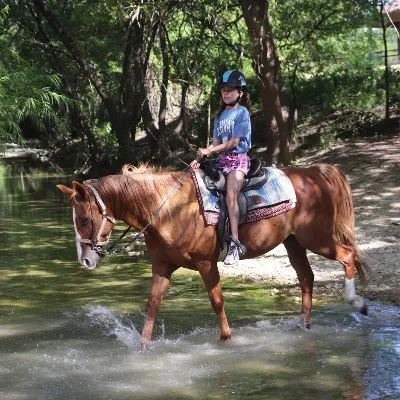 benbrookstables.com's icon