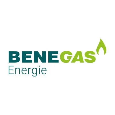 benegas.com's icon