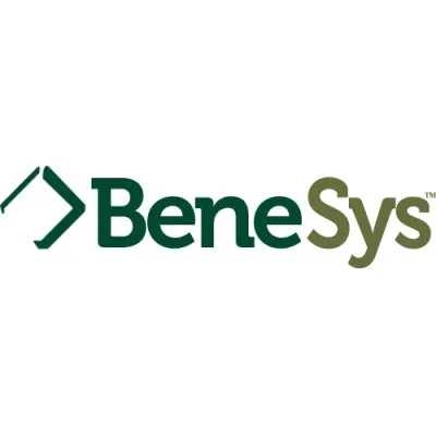 benesys.com's icon
