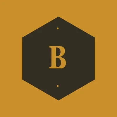 benjaminairguns.com's icon