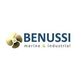 benussimarine.com's icon