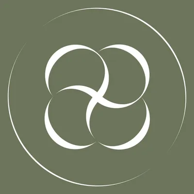 berlook.com's icon