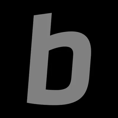 bermynet.com's icon