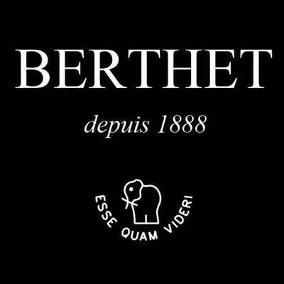 berthet.com's icon