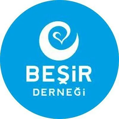 besir.org.tr's icon