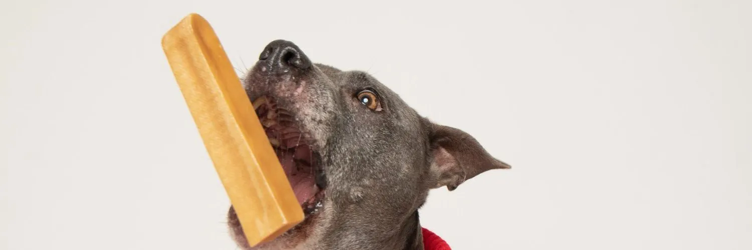 Best Bully Sticks banner