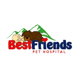 bestfriendspethospital.com's icon
