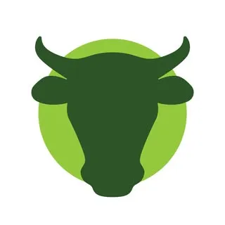 bestofthebone.com's icon