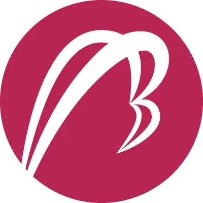 betatron.co's icon