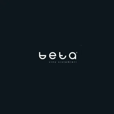 betavinc.com's icon