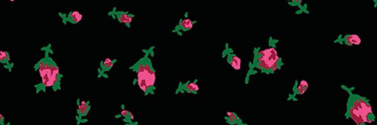 Betsey Johnson banner