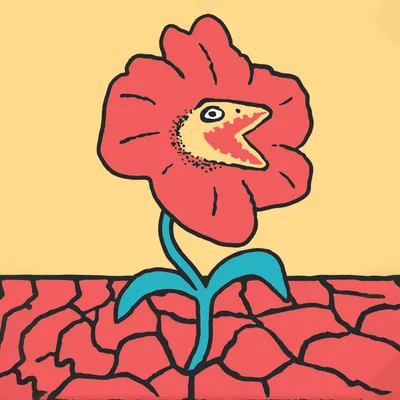 beudi.com.au's icon