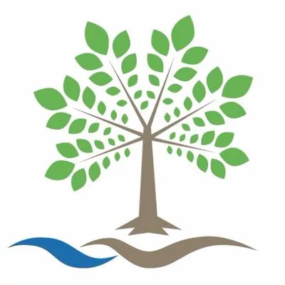 beyondspringpharma.com's icon