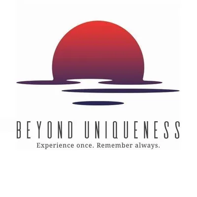 beyonduniqueness.com's icon
