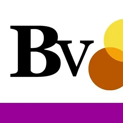beyondvitiligo.org's icon