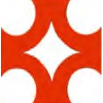bezelarabia.com's icon