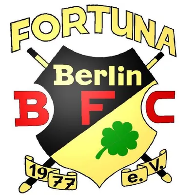 bfc-fortuna.de's icon