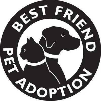 bfpa.org's icon