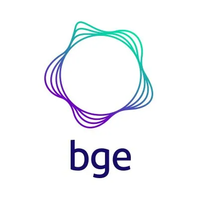 bgesmartenergy.com's icon